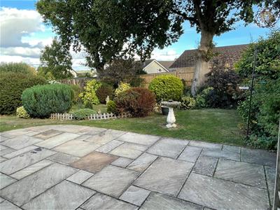 Picture 21